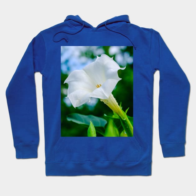 Datura Flower Photograph Hoodie by love-fi